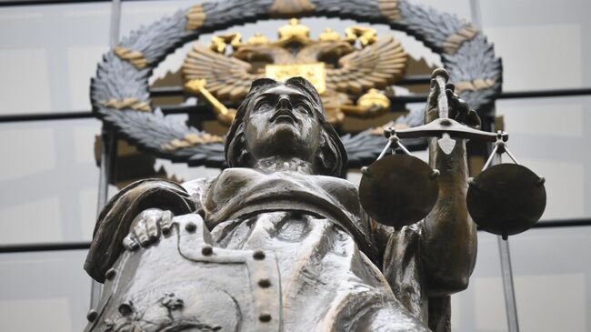 Фигурант дела о хищении на поставках тушенки на СВО Мизгир не признает вину