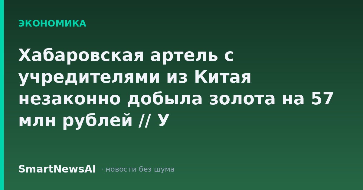Хабаровская артель с учредителями из Китая незаконно добыла золота на 57 млн рублей // У золотодобывающей компании в Хабаровском крае изъяли 6 кг нелегального золота