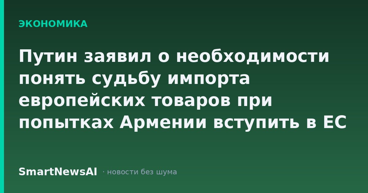Путин заявил о необходимости понять судьбу импорта европейских товаров при попытках Армении вступить в ЕС