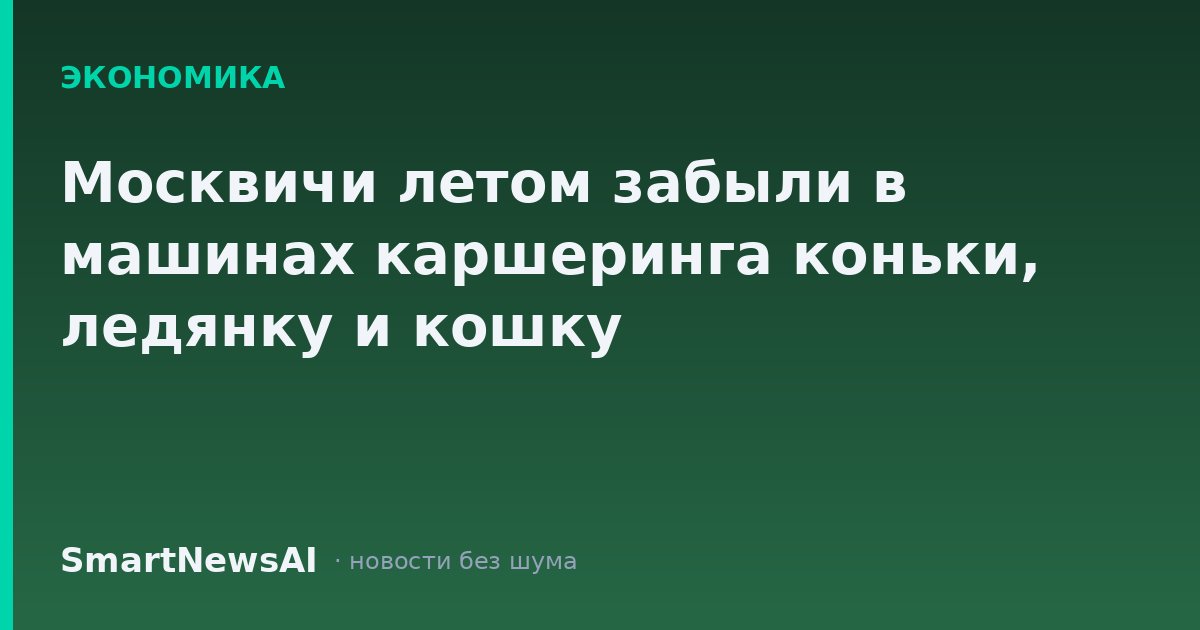 Москвичи летом забыли в машинах каршеринга коньки, ледянку и кошку