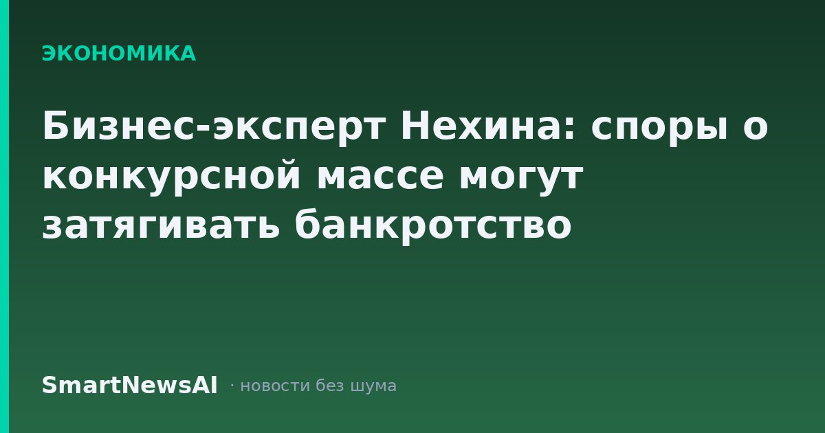 Бизнес-эксперт Нехина: споры о конкурсной массе могут затягивать банкротство